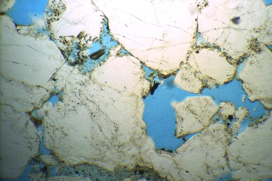 Plane-Polarized Light: Field of view from left to right is approximately 2mm